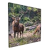 Brow Geweih Hirsch Cervus Natur Zoo Gemälde Wandkunst Poster Leinwand Wandbehang Kunst Schild Öldruck Kunst Arbeit Home Decor für Wohnzimmer Schlafzimmer Büro Zuhause Küche 30,5 x 30,5