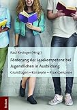 Förderung der Lesekompetenz bei Jugendlichen in Ausbildung: Grundlagen - Konzepte - Praxisbeisp