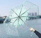 Seupeak Sonnenregenschirm romantisch transparent klare Blumen Blase Dome Regenschirm halb automatisch für Wind schwere Regen Frauen Sonne Regenschirm (Farbe: grün 2) (Color : Green 2)
