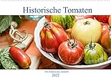 Historische Tomaten - Alte Schätze neu entdeckt (Wandkalender 2022 DIN A2 quer) [Calendar] Meyer, D