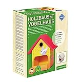 Pebaro Siva _466 466 Holzbauset Vogelhaus mit 9 unbehandelten Birkenholzplatten, Hammer und Nägeln, perfekte Geschenkidee für HobbyHandwerk