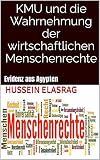 KMU und die Wahrnehmung der wirtschaftlichen Menschenrechte: Evidenz aus Agyp