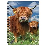 3D LiveLife Jotter - Hochlandrinder von Deluxebase. Linsenförmiges 3D Kuh A6 Spiralblock. Ein liniertes Notizbuch mit Kunstwerken, die vom bekannten Künstler David Penfound lizenziert w