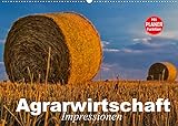 Agrarwirtschaft. Impressionen (Wandkalender 2022 DIN A2 quer)