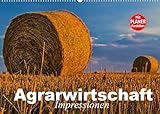 Agrarwirtschaft. Impressionen (Wandkalender 2022 DIN A2 quer)