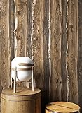 Holztapete in Braun Beige | schöne edle Tapete im Natur-Holz Design | moderne 3D Optik für Wohnzimmer, Schlafzimmer oder Küche inklusive der Newroom-Tapezier-Profibroschüre mit Tipps für perfekteW