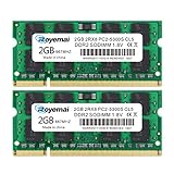 Royemai Arbeitsspeicher für Laptop, Notebook, Computer, 4 GB (2 x 2 GB) DDR2 667 MHz PC2-5300 SODIMM, 2 GB 5300S RAM, 1,8 V, CL5 200