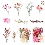Heilok Natürliche Getrocknete Blumen 2 Boxen Getrocknete Gepresst Blumen Gemischte Getrocknete Blätter, Gepresste Blumen für DIY Basteln Handwerk Epoxidharz Scrapbooking Dek