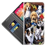 vingarshern Klapphüllen für Apple iPhone 13 Pro Max Handyhülle Flip Case Tasche Lederhülle Handytasche iPhone 13 Pro Max Hülle Leder Magnetverschluss Brieftasche Klapptasche,YJS04P-05