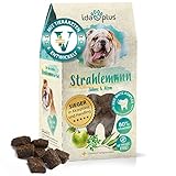 Ida Plus Strahlemann - mit Anti-Zahnstein- & Hunde Mundgeruch Komplex zur Hunde-Zahnreinigung für gesunde Hunde-Zähne - Vitalfood als Hundesnack getreidefrei & ohne Zucker - einfache Anwendung