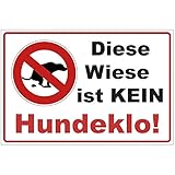 Schild 300x200 mm Diese Wiese ist kein Hundeklo ! - kein Hundekot ! - stabil aus PVC Hartschaum Platte - 3 mm stark