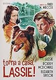 Dvd - Torna A Casa Lassie (1 DVD)