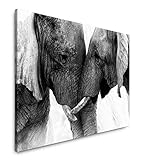 Paul Sinus Art Elefanten 120x 80cm Inspirierende Fotokunst in Museums-Qualität für Ihr Zuhause als Wandbild auf Leinw
