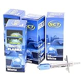4x SCT H1 White Plasma Halogenlampe Leuchte 12V 55W Glühlampe LED X