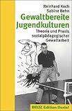 Gewaltbereite Jugendkulturen: Theorie und Praxis sozialpädagogischer Gewaltarb