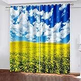 JORILS Vorhang Kinderzimmer Baiyun-Landschaft, 2er Set Kindergardinen Mädchen Junge Verdunkelungsvorhänge mit Ösen Blickdichter Vorhang 264x241cm Blickdichte Gardinen für W