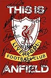 Fotodruck Liverpool 2015/16, mit vorgedrucktem Autogramm, limitierte E