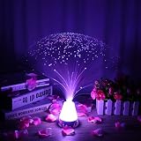 LEDMOMO Faseroptische Lampe batteriebetriebene LED-Faser-Lampe mit Farbwechsel Crystal Base (Typ 1)
