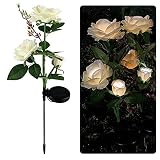 Solarspot Für Außen Solar Blume Licht Rose Blumenlampe Led Solarlicht Für Garten Dekoration Wasserdichte Outdoor Landscape Rasenlampe Für Patio Yard-01 Champagnerweißrose_Weißes L