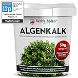 DER SIEGER 09/2020 Veddelholzer 6kg Bio Algenkalk 100% reines Pulver aus Meeresalgen stärkt Widerstandskraft & Regeneration des Buchsbaum beim Buchsbaumzünsler Buchsbaumdünger Naturdünger Sp