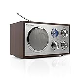 Blaupunkt RXN 19 WN Retro Radio, UKW FM Küchenradio, einfache Bedienung, Radio klein, Analog Tuner, USB-Port 2.0, SD Kartenleser, Antenne, Holz-Gehäuse, Nostalgie-Radio mit Netz-Kabel, W