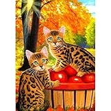 5D-Diamant-Malerei-Set für Erwachsene, Herbst-Katze, Diamant-Kunst, runder Kristall, für Zuhause, Wanddekoration und Kinder, DIY-Geschenk, 40 x 50