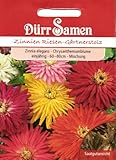 Dürr Samen 0742 Zinnie Riesen Gärtnerstolz (Zinniensamen)