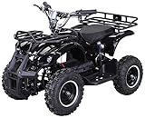 Actionbikes Motors Kinder Elektro Miniquad ATV Torino 1000 Watt 36 Volt - Scheibenbremsen - Umweltfreundlicher Elektromotor (1000 Watt Schwarz)