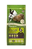 Excel 13910/3887 Burgess Nuggets mit Mint Erwachsene Kaninchen Futter 10 kg - Grün, 4 kg