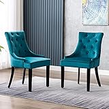 JOYLDIAS 2er Set Esszimmerstuhl aus Stoff Samt Vintage Retro Sessel Polstersessel Clubsessel Loungesessel (Eisblau)
