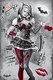 DC Comics Harley Quinn Poster. O