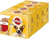 Pedigree Vital Protection Hundenassfutter im Beutel – Hundefutter in Gelee mit Rind, Huhn, Lamm & Geflügel – 48 x 100g Großpackung