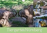 Tiergarten Nürnberg (Wandkalender 2022 DIN A4 quer)