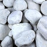 Zierkies 25 kg 60-100 mm Aquarium Carrara Weiß Garten Kies Marmor Gabion Steintepp
