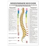 Wirbeltherapie nach Dorn Poster Anatomie 70x50 cm medizinische L