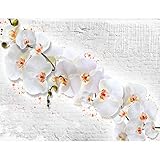 Fototapete Blumen Orchidee Steinwand 352 x 250 cm Vlies Tapeten Wandtapete XXL Moderne Wanddeko Wohnzimmer Schlafzimmer Büro Flur Weiss Gelb 9323011