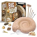 Kindererziehungswissenschaft und Bildungsspielzeug Big Mac natürliches fossiles archäologisches Ausgrabungs-Blind-Box-Spielzeug (Color : Multi-Colored, Size : 28 * 23 * 14CM)