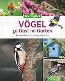 Vögel zu Gast im Garten: Beobachten, bestimmen, schü