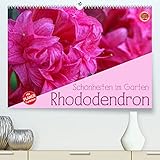 Rhododendron Schönheiten im Garten (Premium, hochwertiger DIN A2 Wandkalender 2022, Kunstdruck in Hochglanz)