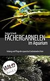 Fächergarnelen im Aquarium: Haltung und Pflege der aquaristisch bedeutenden Arten (Wild Shrimps Fächergarnelen 5)