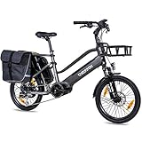 CHRISSON 20 Zoll E-Bike Lastenfahrrad ECARGO grau - Elektro Cargo Bike mit Bafang MaxDrive Mittelmotor 250W, 36V, 80 Nm, Lastenrad für Damen und Herren, praktisches Transport Elek