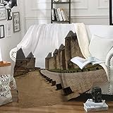 Kuscheldecke, 100 x 130 cm Carcassonne Kuscheldecke Flanell 3D Decke Gedruckte Fleecedecke Weich Wohndecke Tagesdecke Dicke Sofadecke zweiseitige Decke Sofa & B