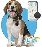 Spotter GPS-Hunde-Tracker Abonnement und wasserdicht. Der kleinste GPS-Tracker mit Aktivitätentracker, Zonen, Alarmen und Anruffunktion. Immer wissen, wo Ihr Hund g