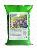 Linsor Lupinen Gründünger 2kg | Lupine Gründüngung Süßlupinen Blaue Lupine Samen Lupinensamen mehrjährig Düngelupinen Blumenwiese Samen Bienenweide Saatgut mehrjährig Blumensamen B