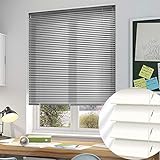 ALU Jalousie Rollade in Silber oder Weiß Rollo Vorhang Sichtschutz Plissee Schalusie ohne Bohren (Silber, 70 x 140cm (BxH))