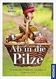 Ab in die Pilze: Sicher bestimmen, sammeln, zub