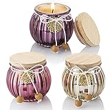 Weltbild Duftkerzen im Glas 3er Set - Kerzen im Glas Duftkerzen Set als Entspannung Geschenk für Frauen | Kerzen im Glas Set Duft Kerzen als Kerzen Geschenkset | Besondere Kerzen mit Kerzen Duft S