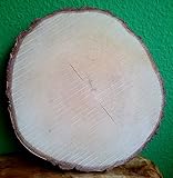 El Natural - Produkte aus der Natur Birkenscheibe rund ca. 10-15 cm (Dicke: 2,0 cm) Holzscheiben Birkenstamm Birken Holz Dekoration Hochzeit Baumscheib