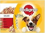 Pedigree Vital Protection / Hochwertiges Hundefutter mit Rind, Huhn und Lamm in Gelee, 1200 g