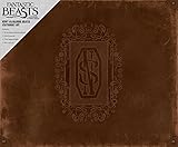 FANTASTIC BEASTS AND WHERE TO FIND THEM: NEWT SCAMANDER DELUXE STATIONERY SET (Harry Potter)